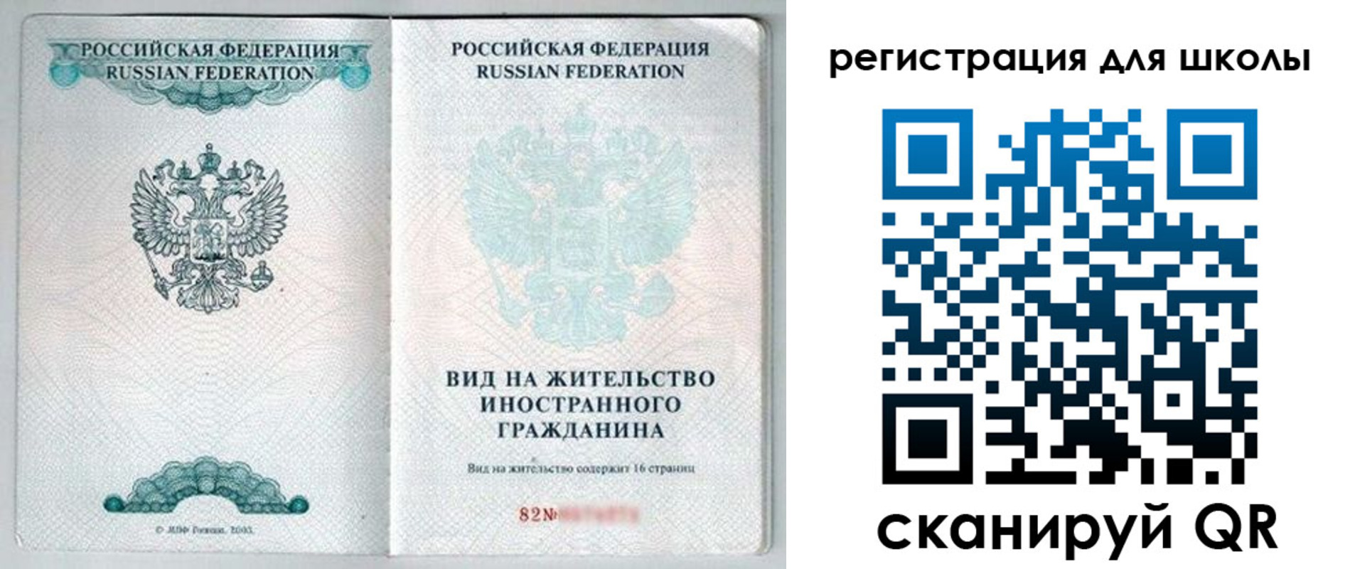 прописка гарантия в Палласовке